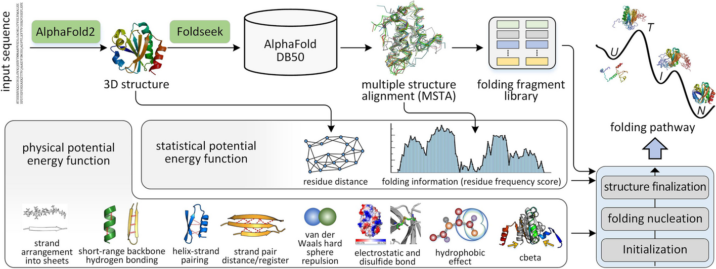 FoldPAthreader: predicting protein folding pathway using a novel folding force field model derived from known protein universe