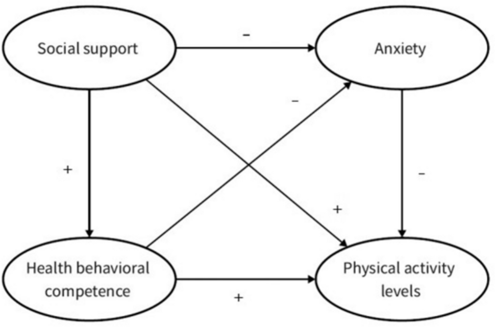 Social support, health behavior self-efficacy, and anxiety on physical activity levels among lung cancer survivors: a structural equation modeling