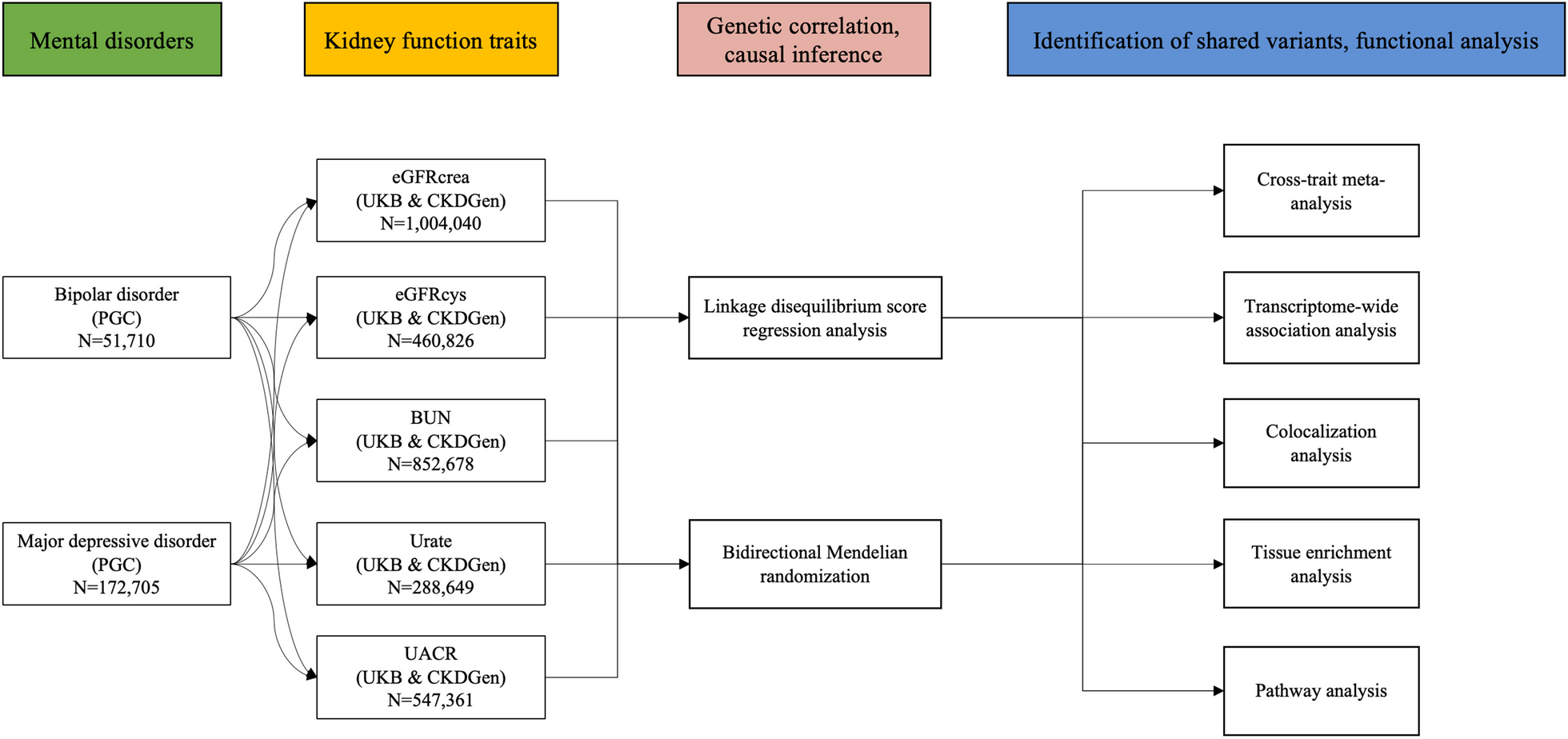 Shared genetic effect of kidney function on bipolar and major depressive disorders: a large-scale genome-wide cross-trait analysis