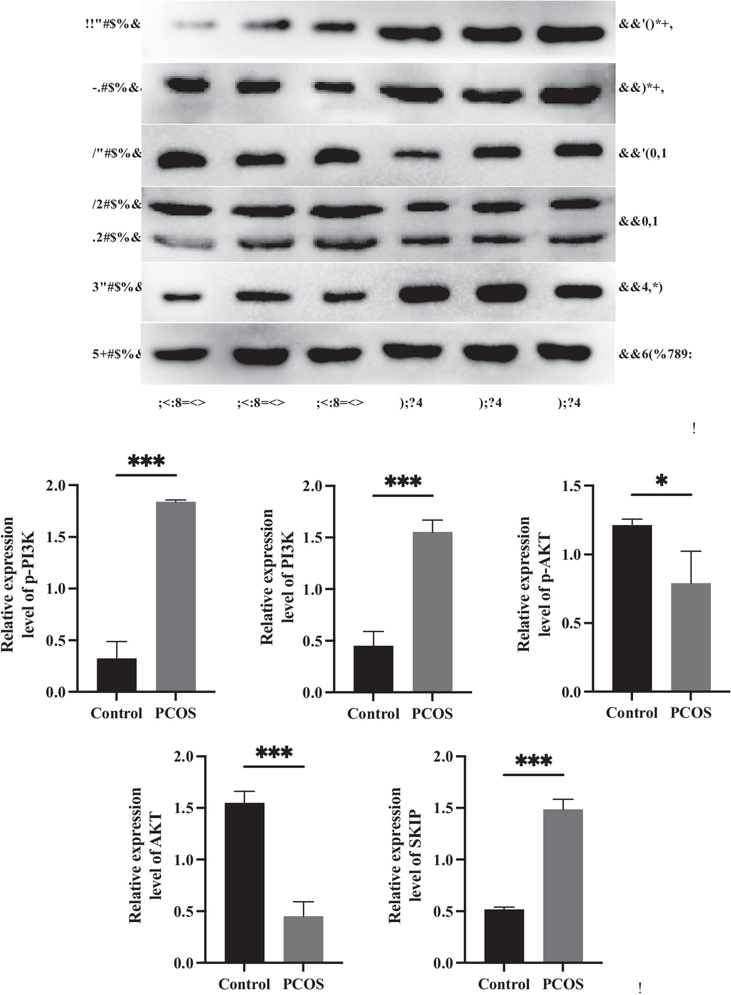 Correction: Alteration of the N6‑methyladenosine methylation landscape in a mouse model of polycystic ovary syndrome