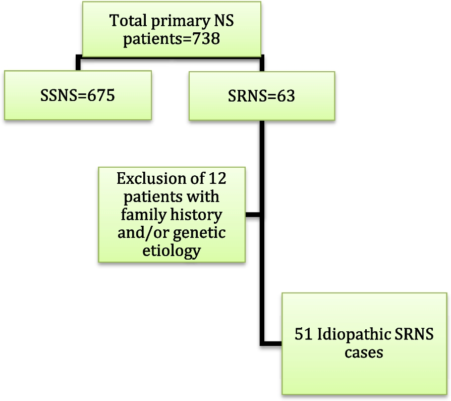 Study of steroid-resistant nephrotic syndrome: a single center experience