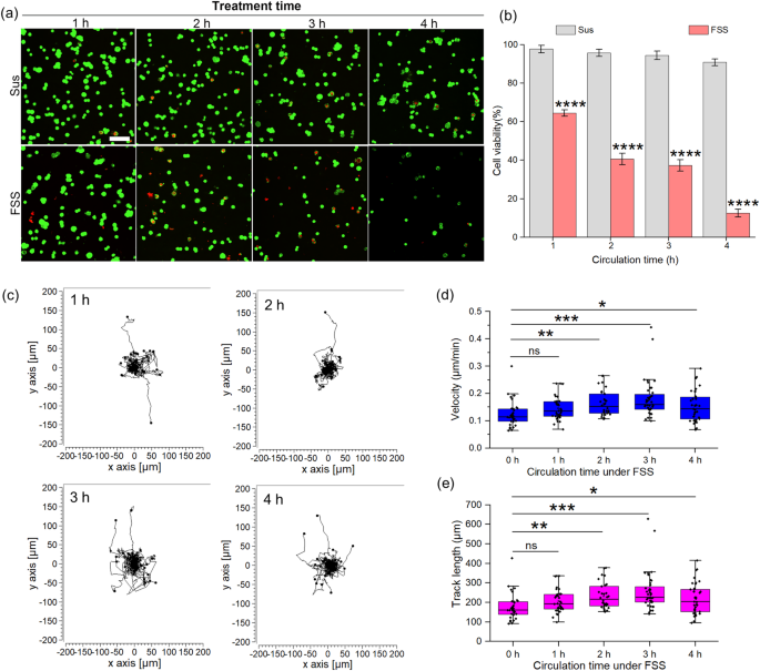 Distinguishing high-metastasis-potential circulating tumor cells through fluidic shear stress in a bloodstream-like microfluidic circulatory system