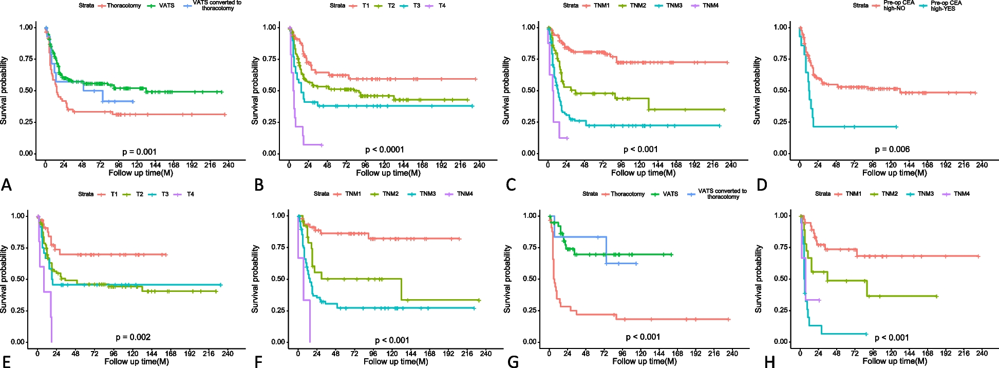 Prognostic factors and nomogram for pulmonary resected high-grade neuroendocrine carcinomas: a 20-year single institutional real-world experience
