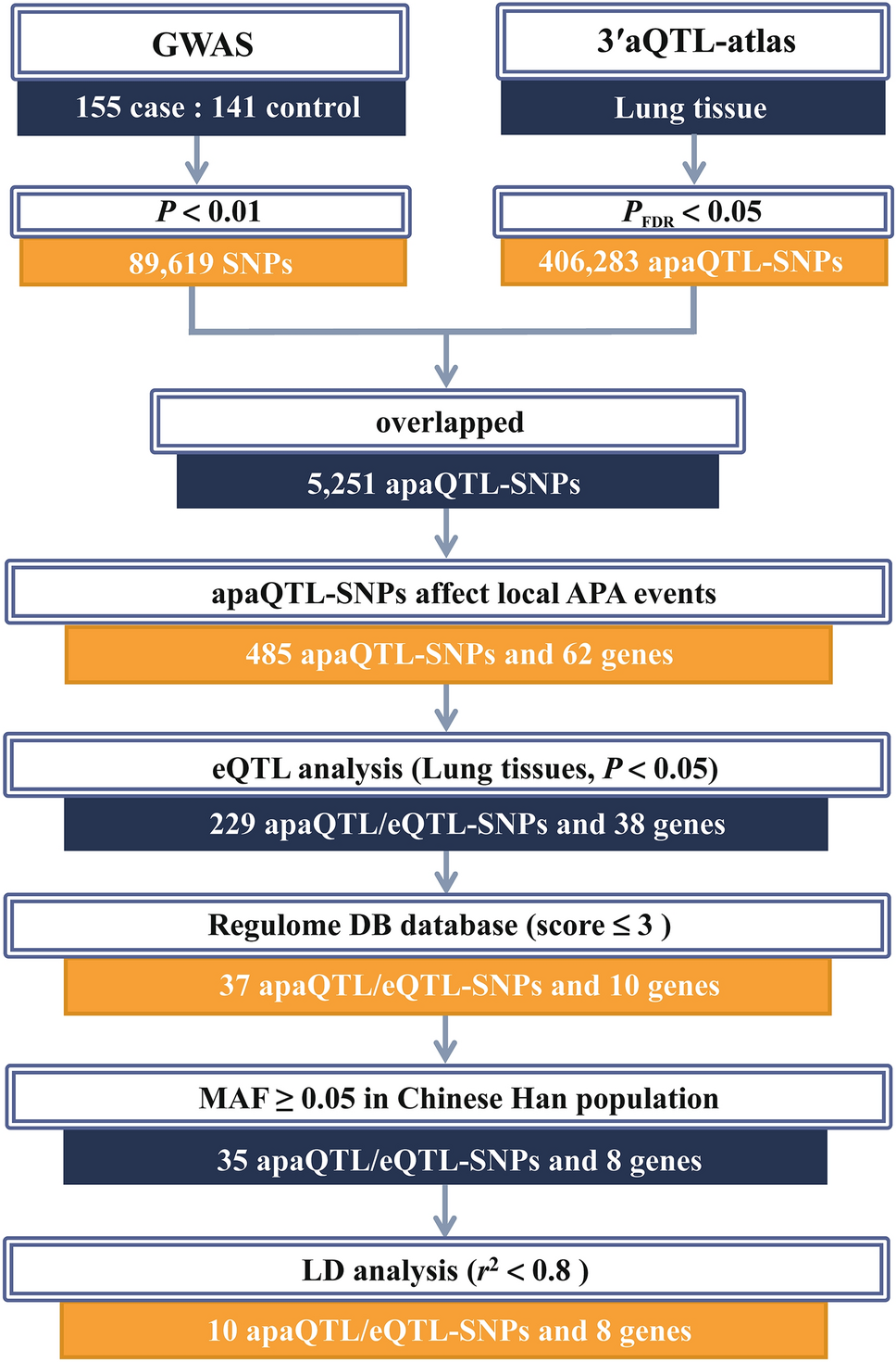 Integration of apaQTL and eQTL analysis reveals novel SNPs associated with occupational pulmonary fibrosis risk