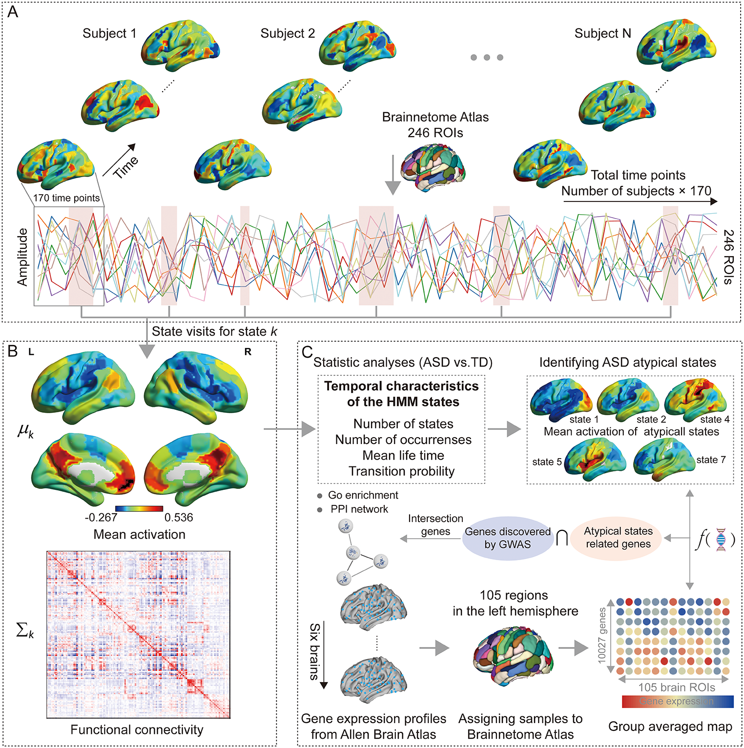 Atypical dynamic neural configuration in autism spectrum disorder and its relationship to gene expression profiles