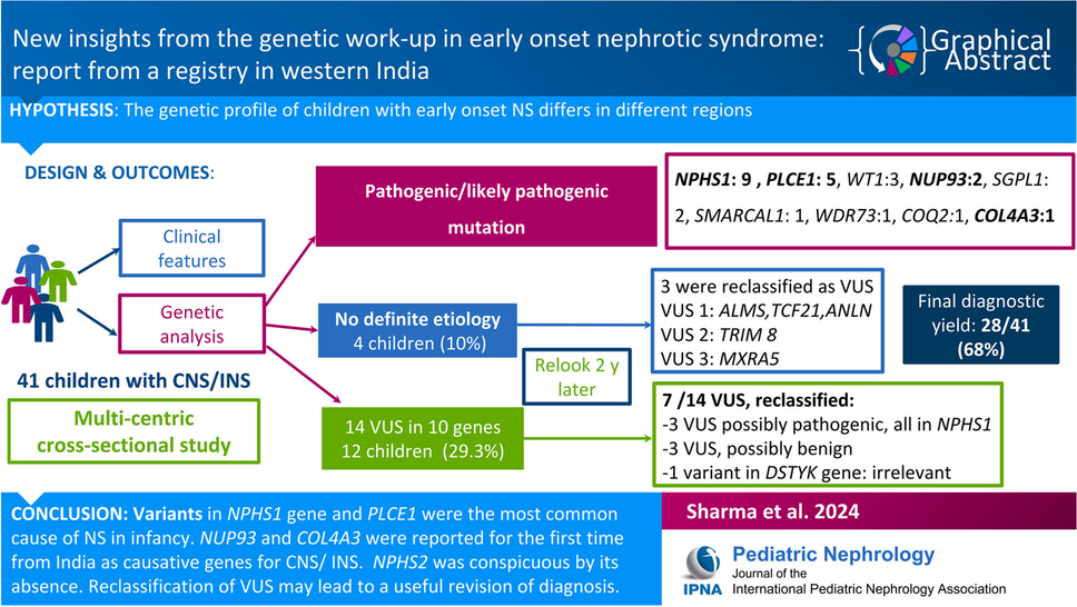 New insights from the genetic work-up in early onset nephrotic syndrome: report from a registry in western India