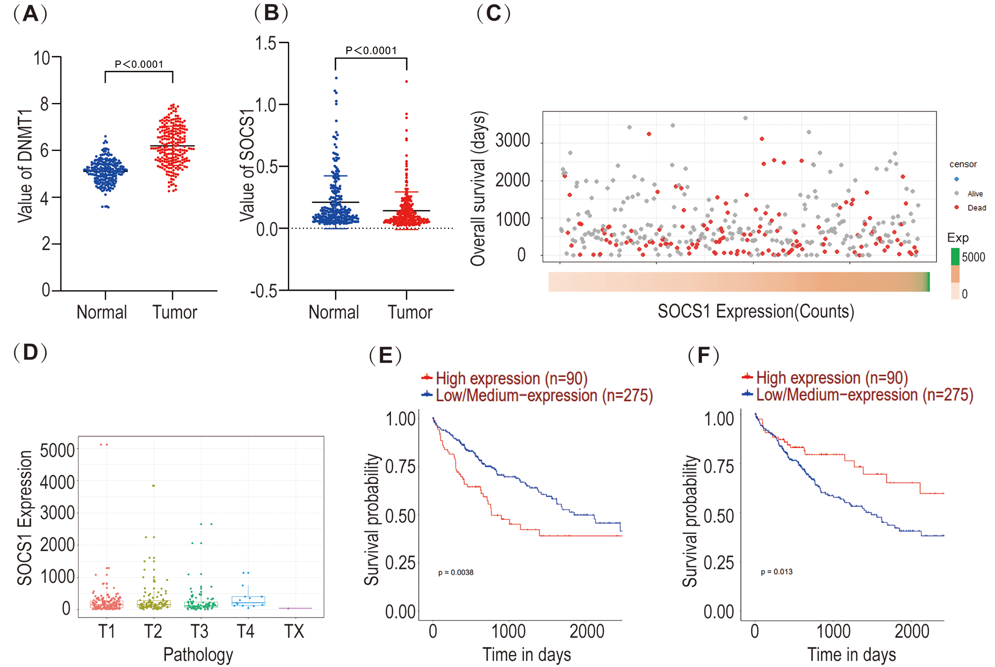 Targeted silencing of SOCS1 by DNMT1 promotes stemness of human liver cancer stem-like cells