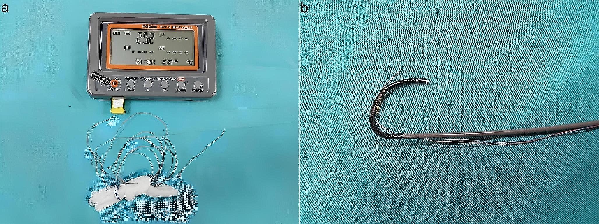 Monitoring Intrarenal temperature changes during Ho: YAG laser lithotripsy in patients undergoing retrograde intrarenal surgery: a novel pilot study