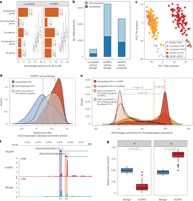 Integrative analysis of ultra-deep RNA-seq reveals alternative promoter usage as a mechanism of activating oncogenic programmes during prostate cancer progression