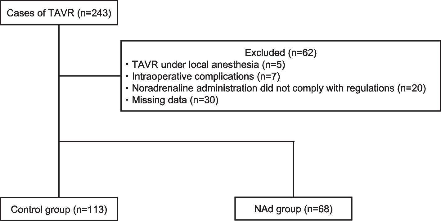 Noradrenaline infusion prevents anesthesia-induced hypotension in severe aortic stenosis patients undergoing transcatheter aortic valve replacement: a retrospective observational study