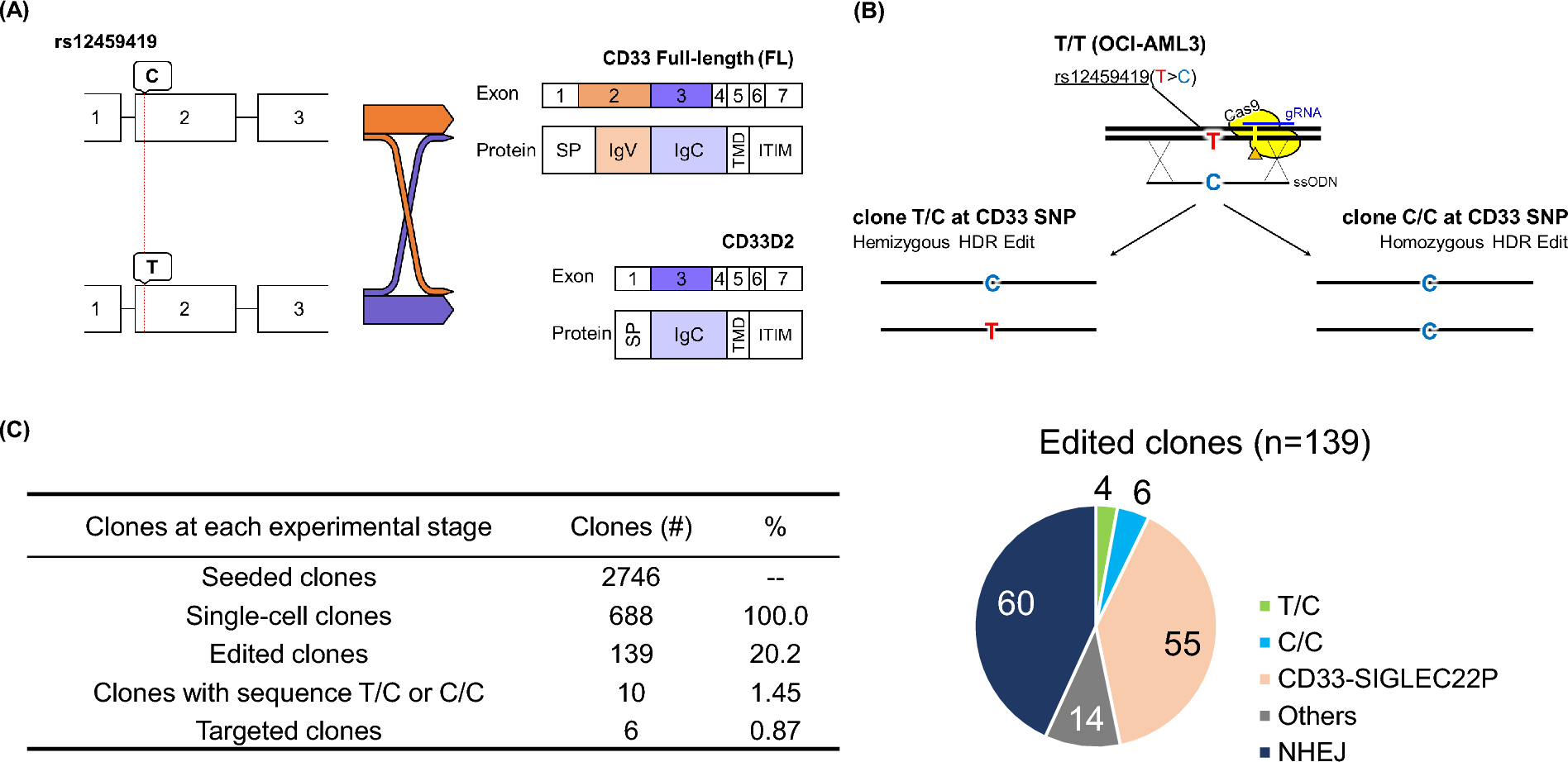 CRISPR/Cas9 gene editing clarifies the role of CD33 SNP rs12459419 in gemtuzumab ozogamicin-mediated cytotoxicity