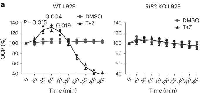 Author Correction: RIP3 targets pyruvate dehydrogenase complex to increase aerobic respiration in TNF-induced necroptosis