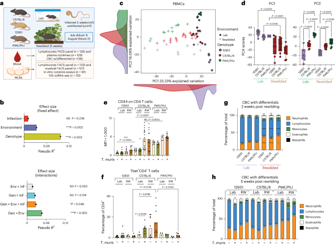 Genetic and environmental interactions contribute to immune variation in rewilded mice