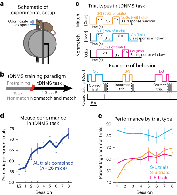 Medial entorhinal cortex mediates learning of context-dependent interval timing behavior