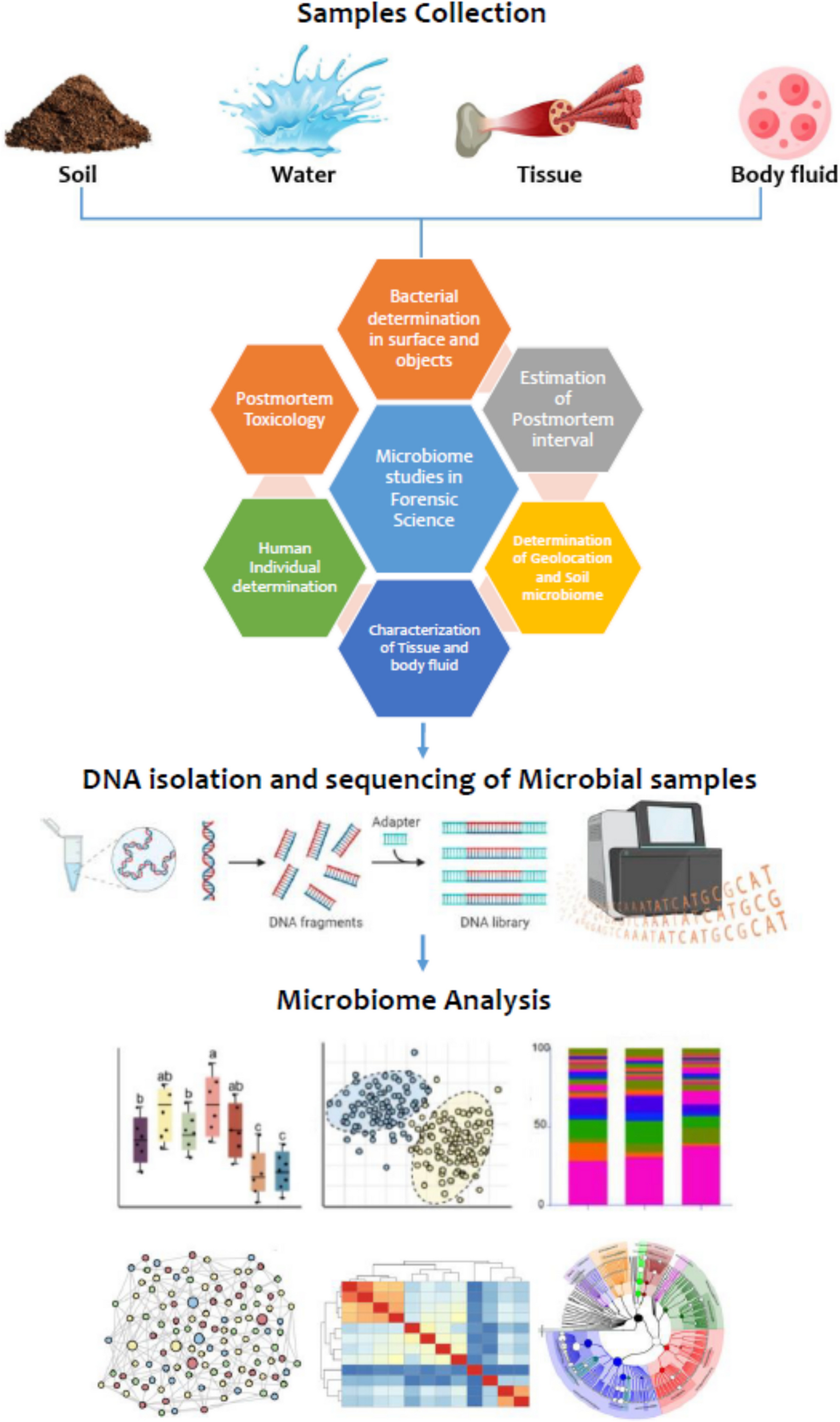 Microbial genomics: a potential toolkit for forensic investigations