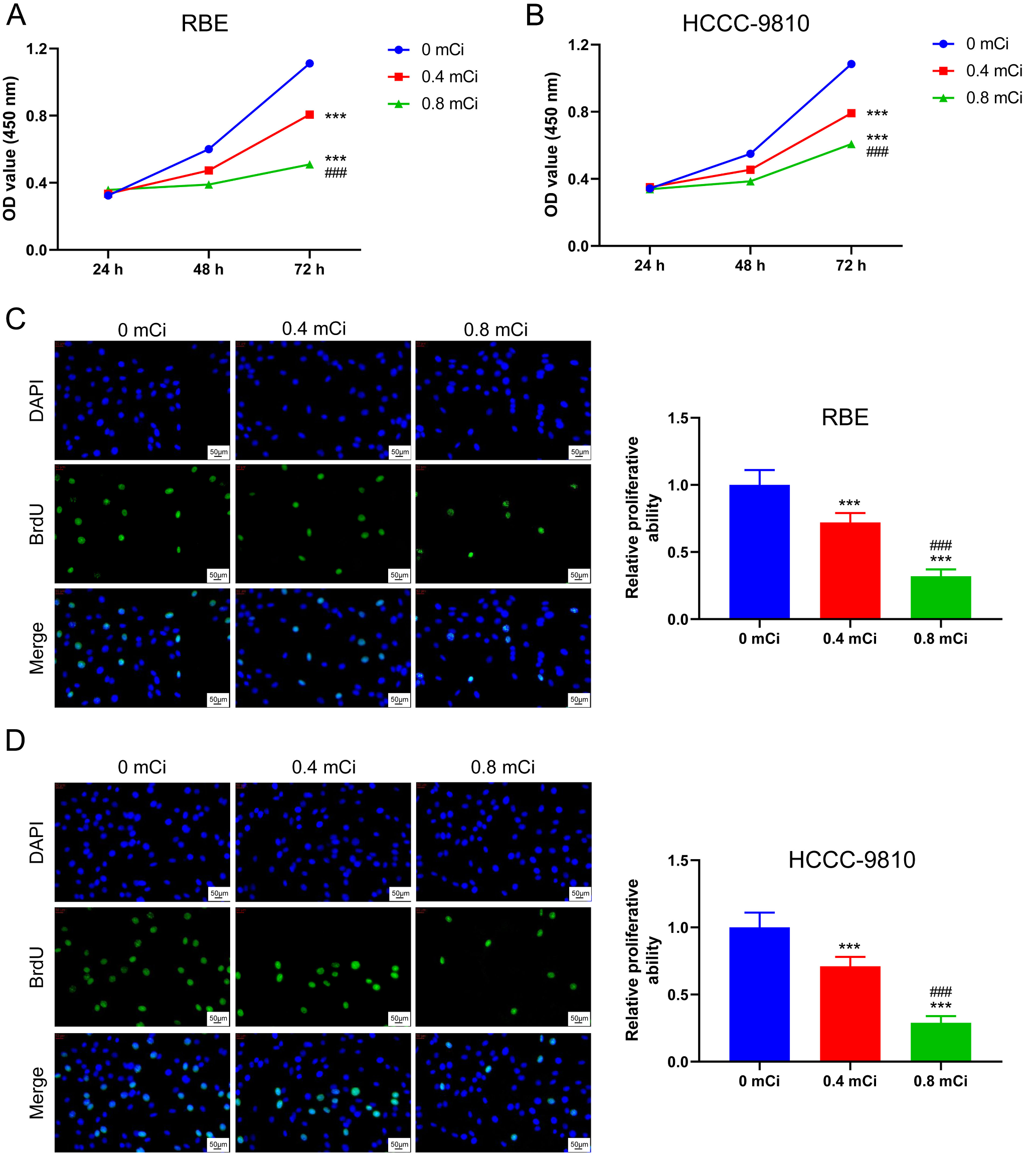 Iodine-125 seed inhibits proliferation and promotes apoptosis of cholangiocarcinoma cells by inducing the ROS/p53 axis
