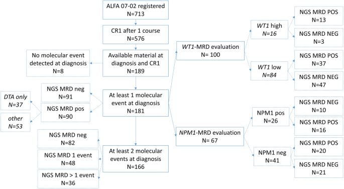 Multi-target measurable residual disease assessed by error-corrected sequencing in patients with acute myeloid leukemia: An ALFA study