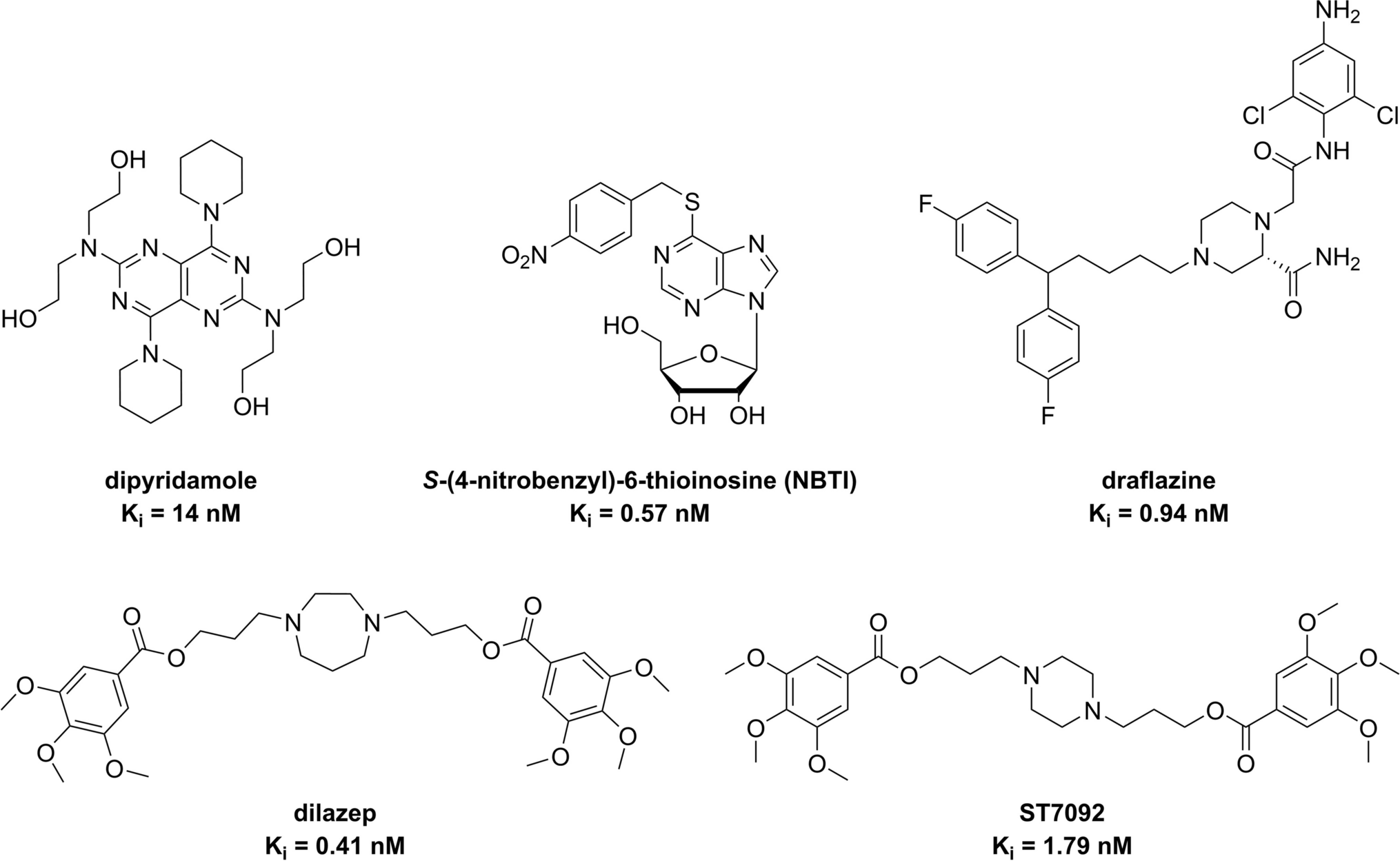 Exploring novel dilazep derivatives as hENT1 inhibitors and potentially covalent molecular tools