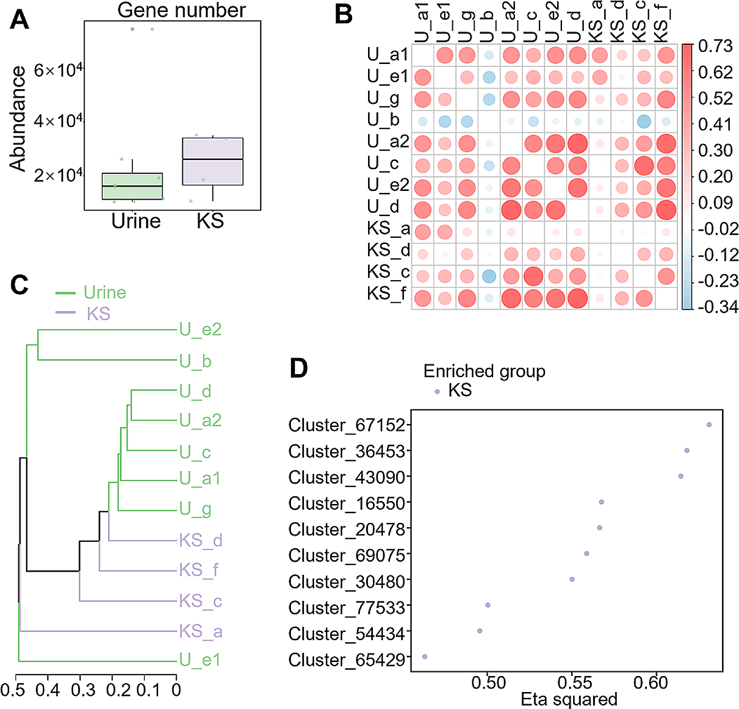 Microbial communities, antibiotic resistance genes, and virulence factors in urinary infectious stone-associated urinary tract infections