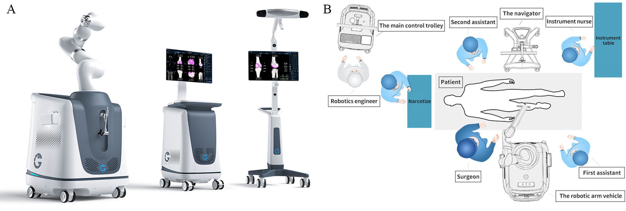 Evaluating the accuracy of a new robotically assisted system in cadaveric total knee arthroplasty procedures