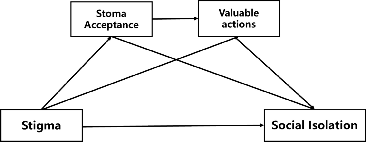 Linking stigma to social isolation among colorectal cancer survivors with permanent stomas: the chain mediating roles of stoma acceptance and valuable actions