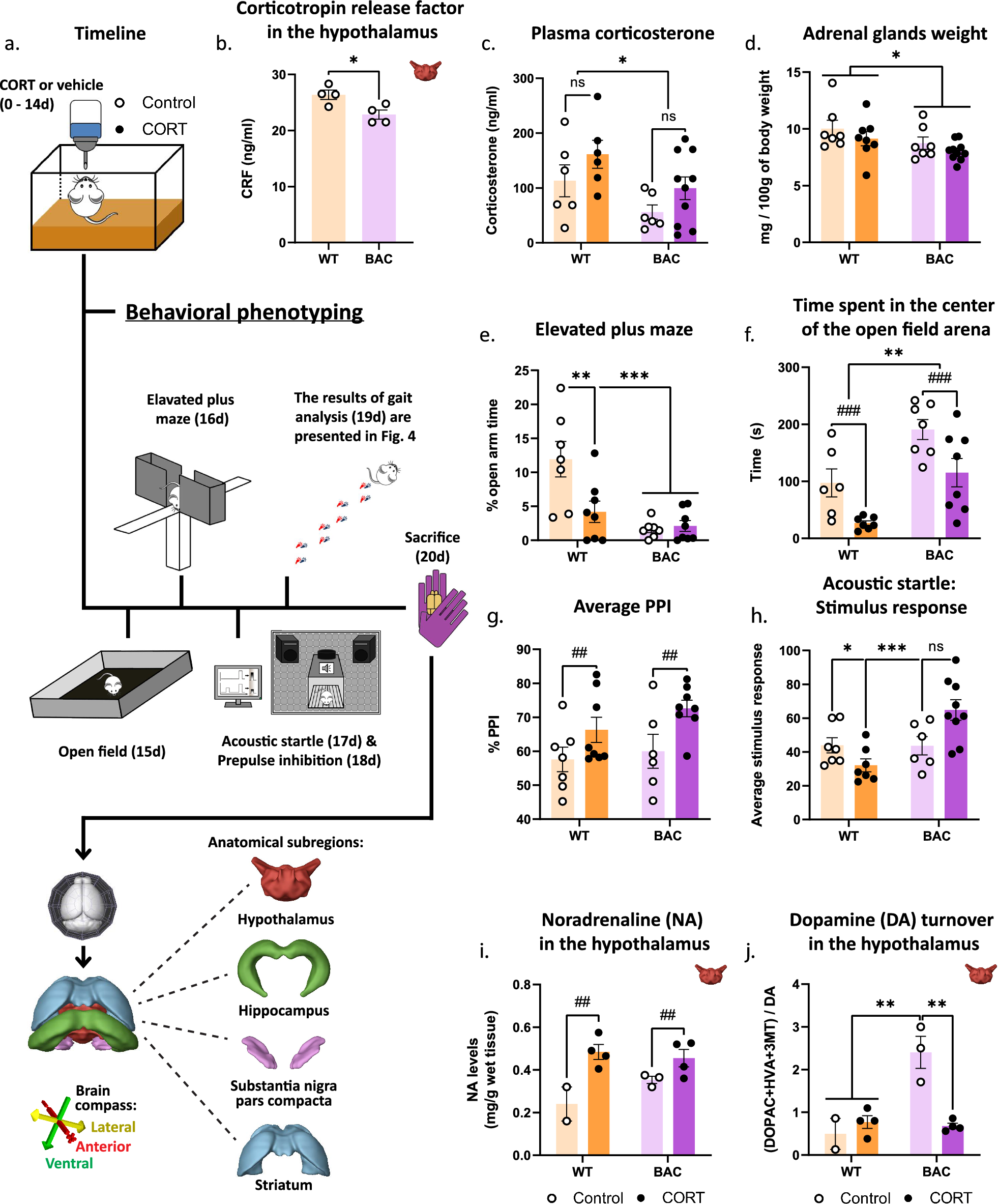 Alpha-synuclein-induced stress sensitivity renders the Parkinson’s disease brain susceptible to neurodegeneration