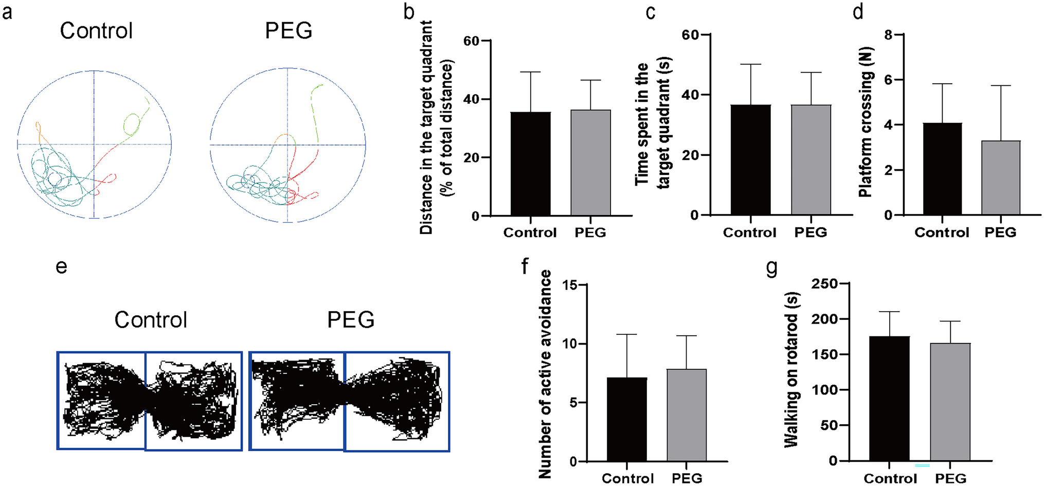 PEG300 Protects Mitochondrial Function By Upregulating PGC-1α to Delay Central Nervous System Oxygen Toxicity in Mice