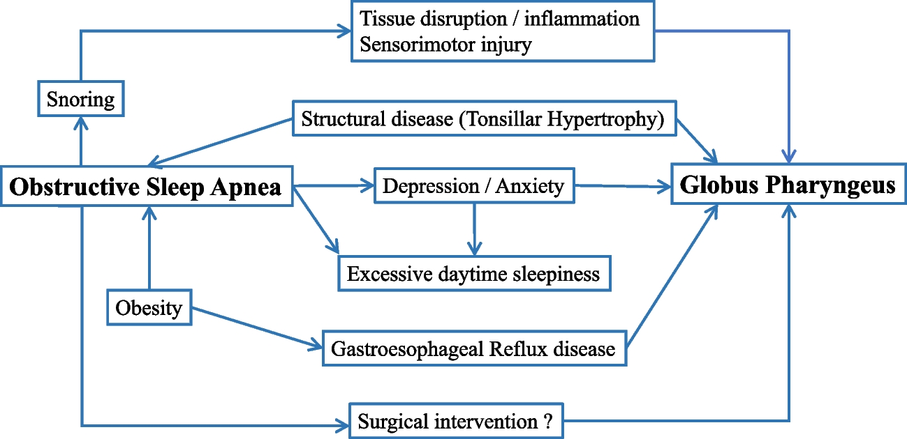 Globus sensation in obstructive sleep apnea patients; A cross-sectional study of 120 patients