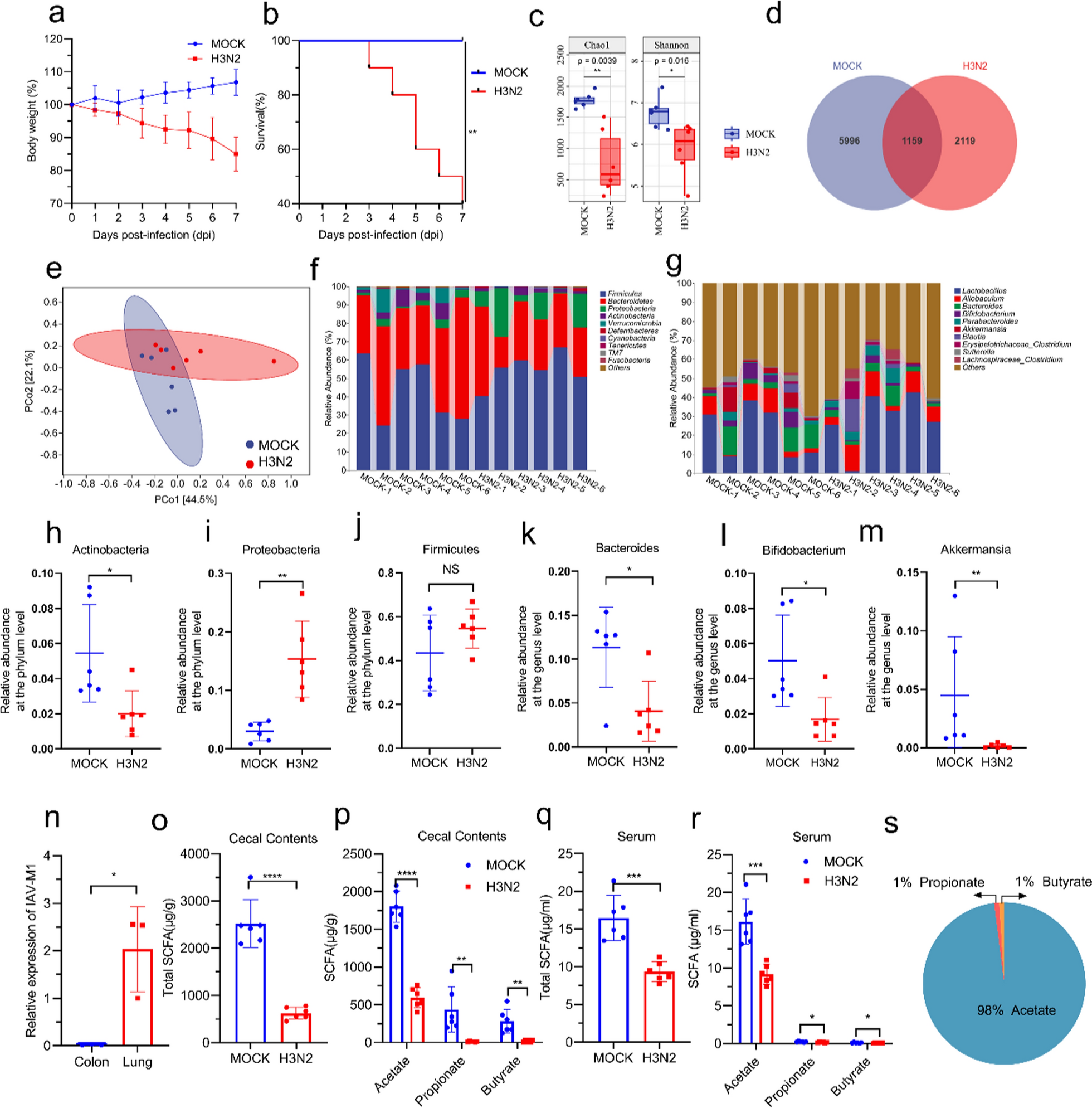 Gut microbiota-derived acetate attenuates lung injury induced by influenza infection via protecting airway tight junctions