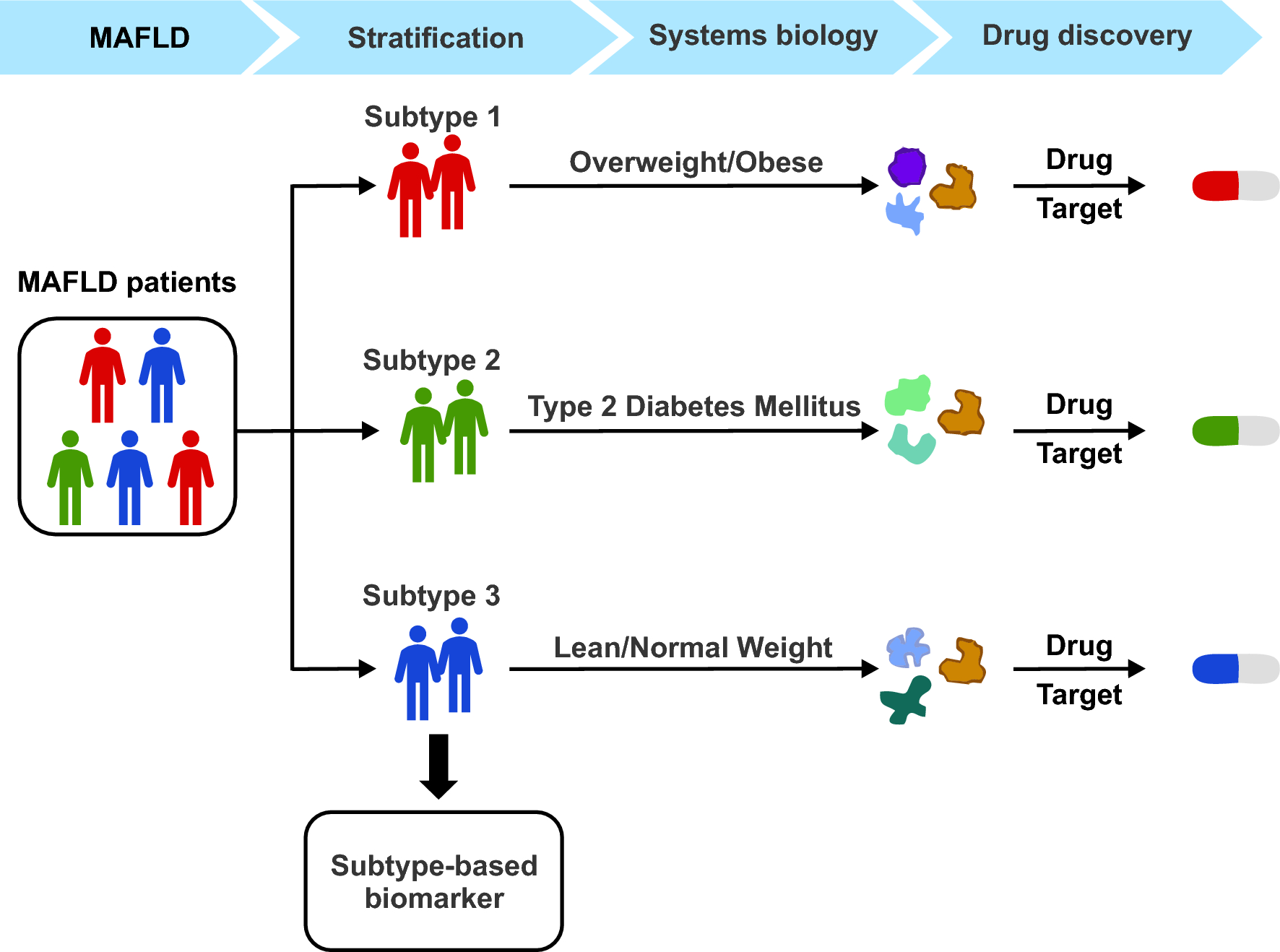 MAFLD: from a disease framework to patient care