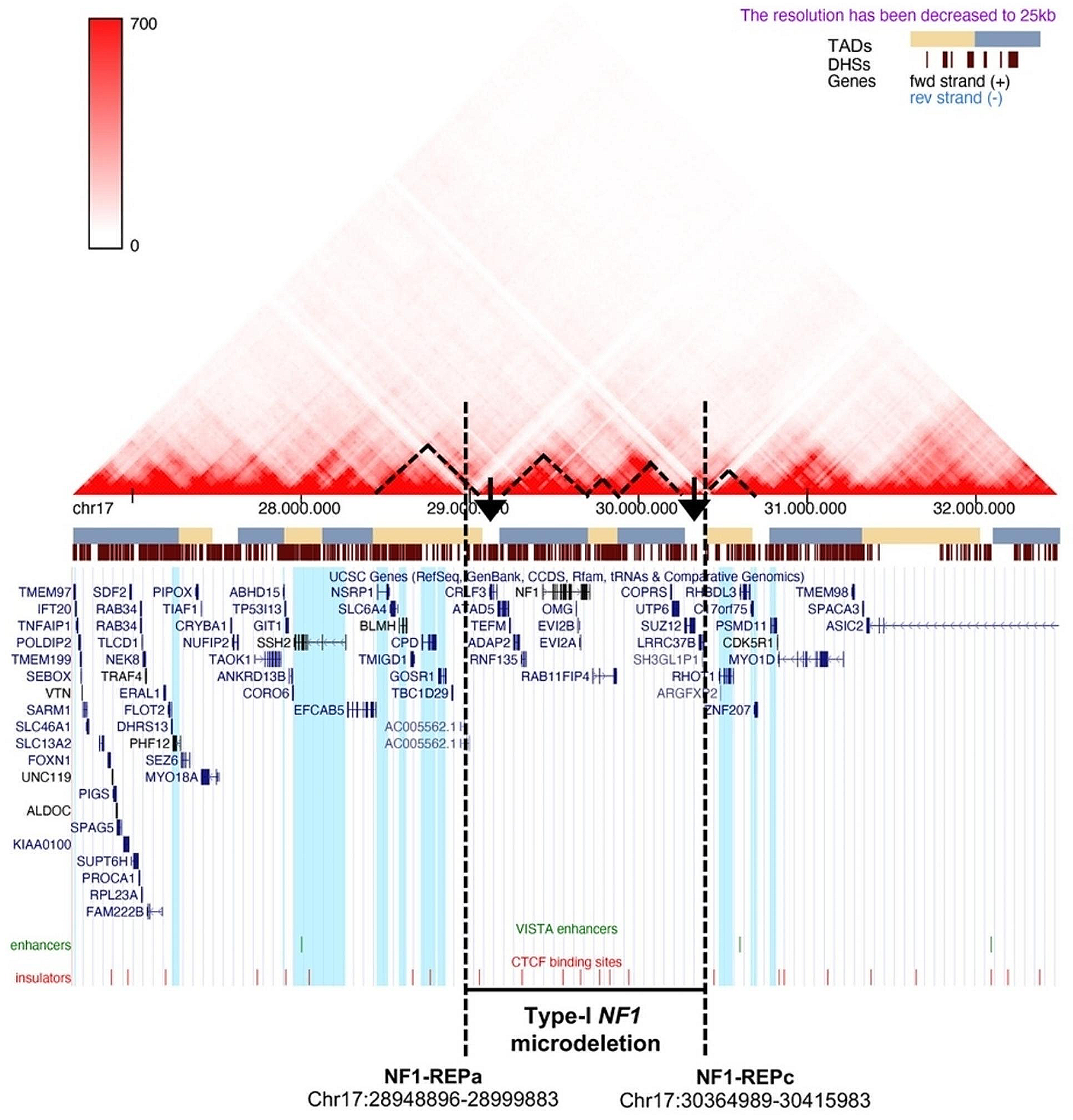 Genetic/epigenetic effects in NF1 microdeletion syndrome: beyond the haploinsufficiency, looking at the contribution of not deleted genes