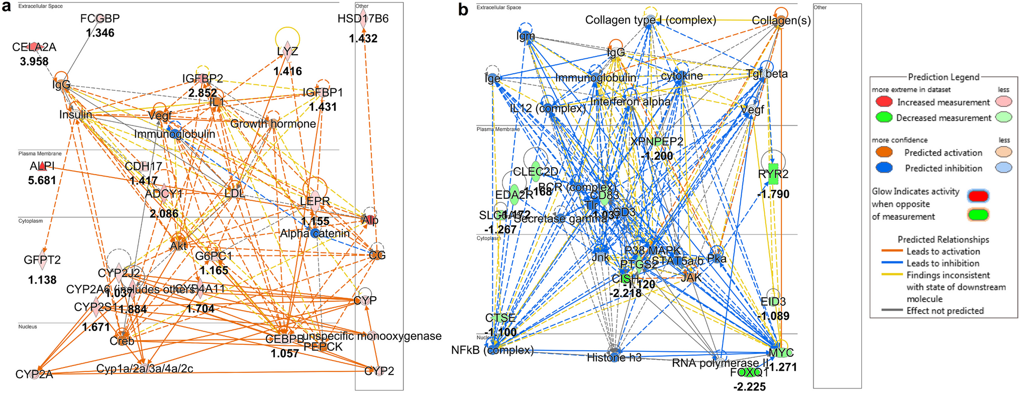 RNA-Seq transcriptome profiling of Nile rat livers reveals novel insights on the anti-diabetic mechanisms of Water-Soluble Palm Fruit Extract