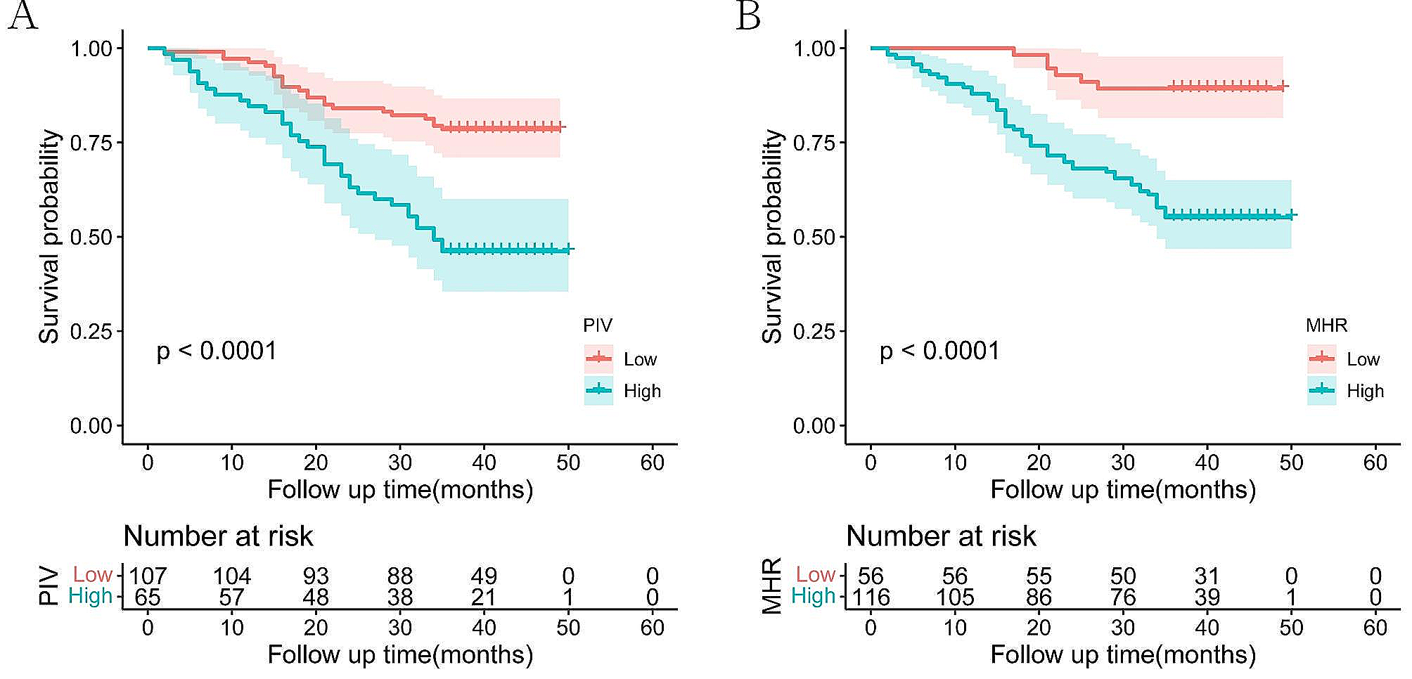 Nomogram incorporating preoperative pan-immune-inflammation value and monocyte to high-density lipoprotein ratio for survival prediction in patients with colorectal cancer: a retrospective study