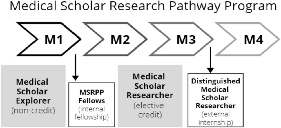 Early Exposure of Medical Students to a Formal Research Program Promotes Successful Scholarship in a Multi-Campus Medical School