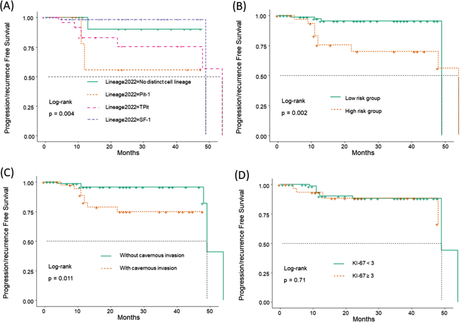 Clinicopathological analysis of non-functioning pituitary adenomas (PAs) according to the 2022 WHO classification