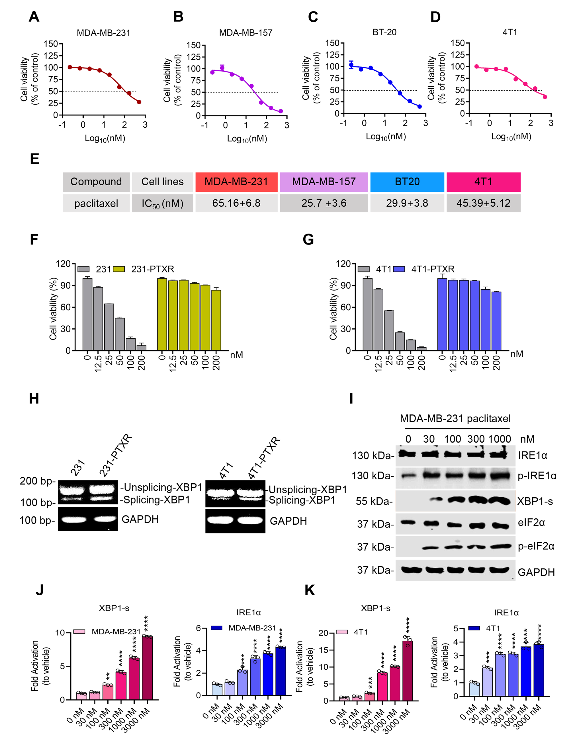 IRE1α inhibitor enhances paclitaxel sensitivity of triple-negative breast cancer cells