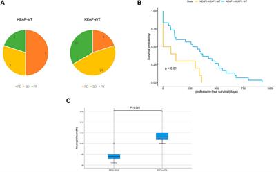 Neutrophil in the suppressed immune microenvironment: Critical prognostic factor for lung adenocarcinoma patients with KEAP1 mutation