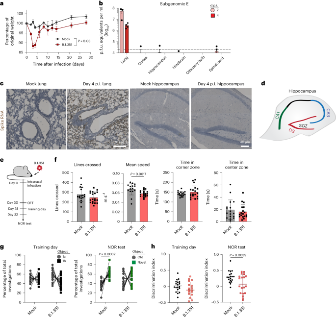 Vaccination reduces central nervous system IL-1β and memory deficits after COVID-19 in mice