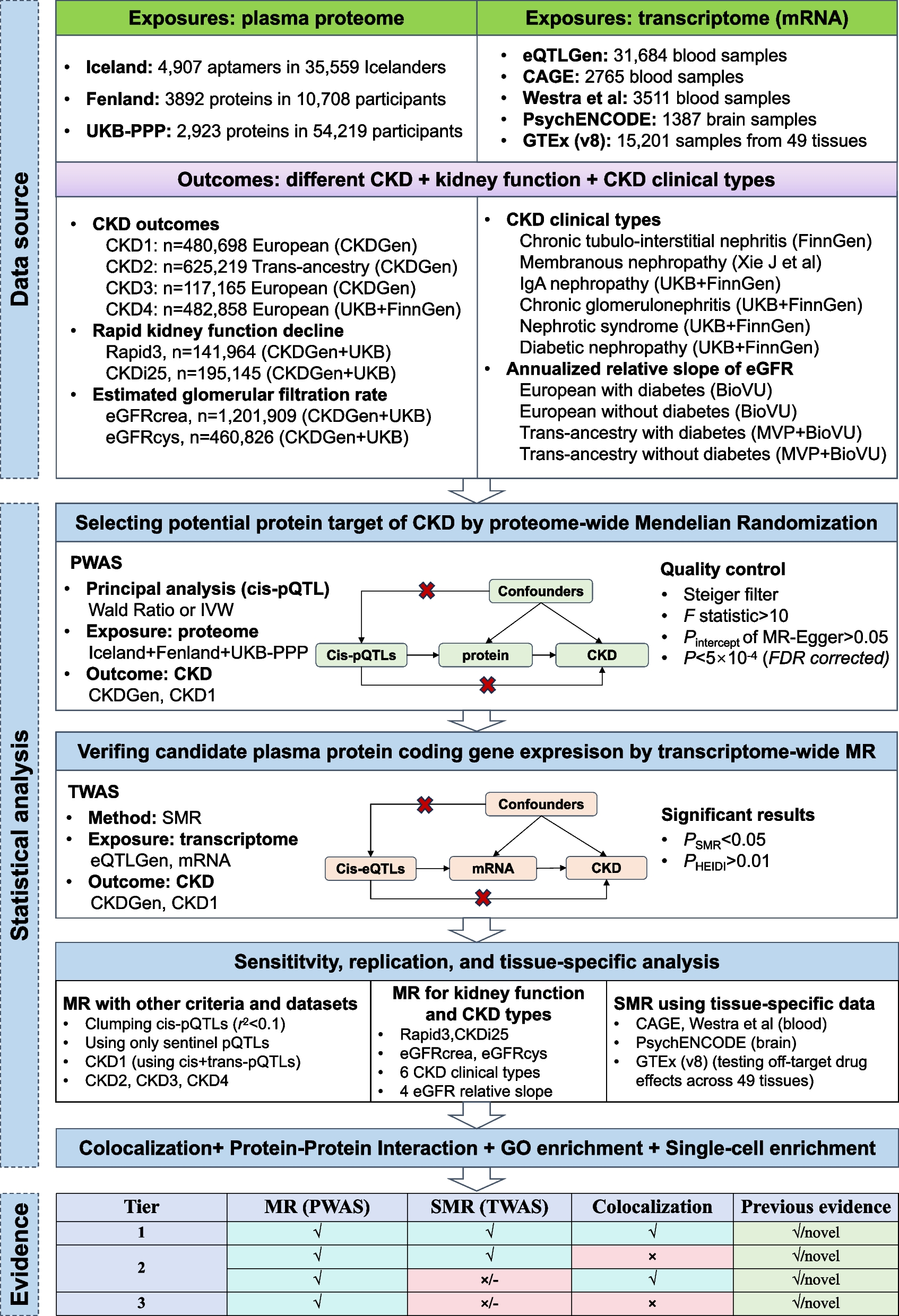 Identification of novel therapeutic targets for chronic kidney disease and kidney function by integrating multi-omics proteome with transcriptome