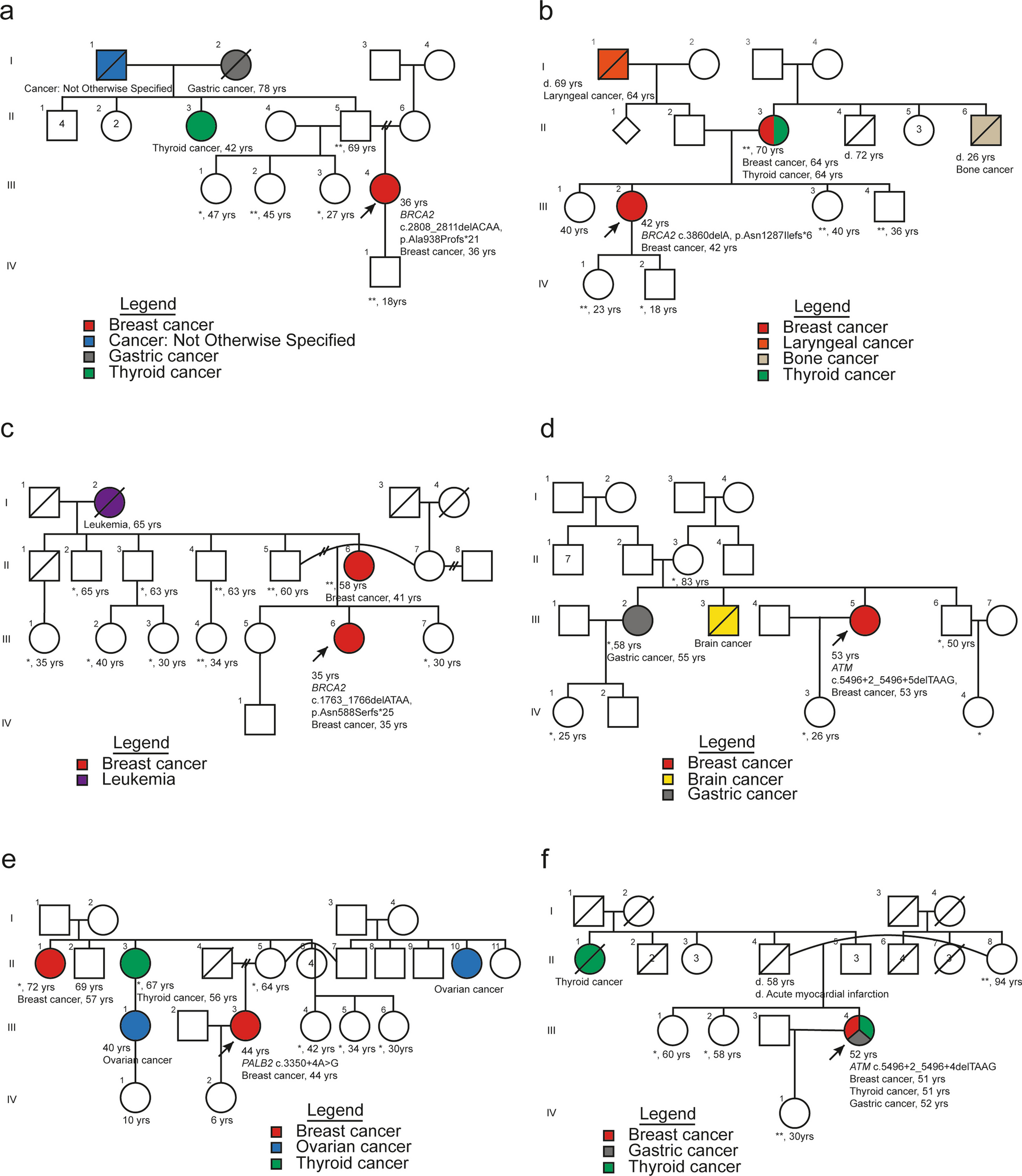 Germline mutations of breast cancer susceptibility genes through expanded genetic analysis in unselected Colombian patients