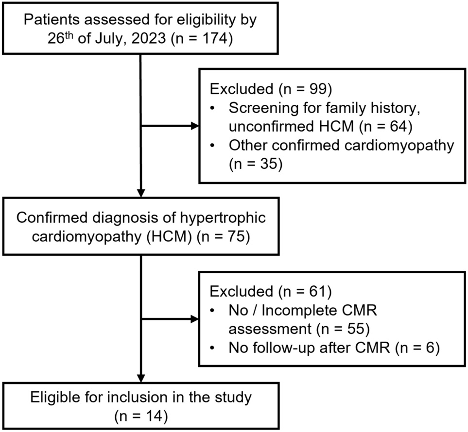 Impaired Myocardial Work in Children with Hypertrophic Cardiomyopathy and Left Ventricular Fibrosis on Cardiac Magnetic Resonance Imaging