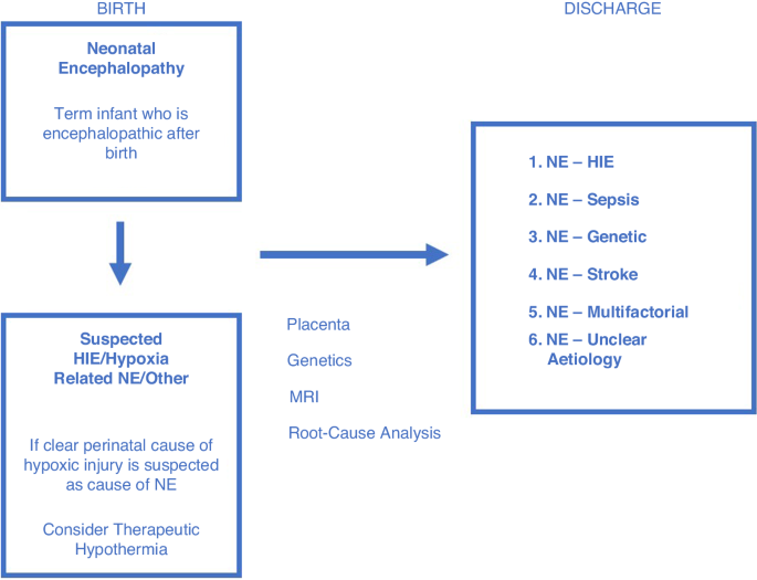 Consensus definition and diagnostic criteria for neonatal encephalopathy—study protocol for a real-time modified delphi study