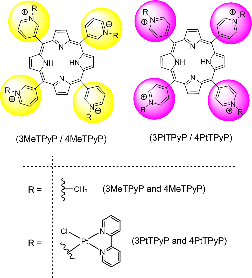 In vitro antimicrobial, antibiofilm photodynamic activity, and molecular dynamic simulations of tetra-cationic porphyrinmembrane interactions against foodborne microorganisms