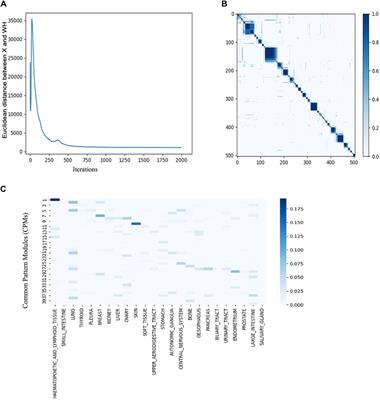 Integrative analysis of cancer multimodality data identifying COPS5 as a novel biomarker of diffuse large B-cell lymphoma