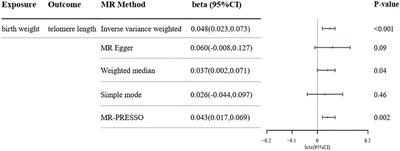 Robust evidence supports a causal link between higher birthweight and longer telomere length: a mendelian randomization study