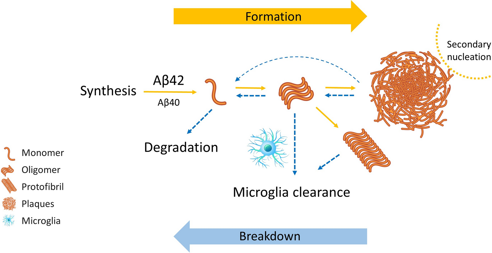 Analysis of Cerebrospinal Fluid, Plasma β-Amyloid Biomarkers, and Cognition from a 2-Year Phase 2 Trial Evaluating Oral ALZ-801/Valiltramiprosate in APOE4 Carriers with Early Alzheimer’s Disease Using Quantitative Systems Pharmacology Model