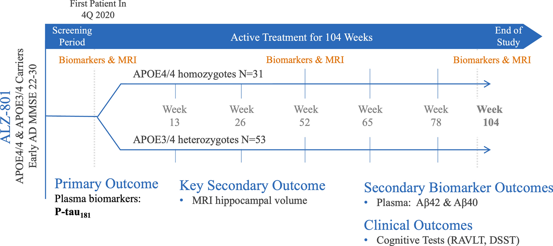 Effects of Oral ALZ-801/Valiltramiprosate on Plasma Biomarkers, Brain Hippocampal Volume, and Cognition: Results of 2-Year Single-Arm, Open-Label, Phase 2 Trial in APOE4 Carriers with Early Alzheimer’s Disease