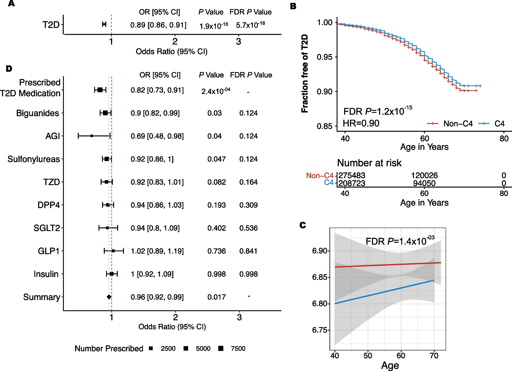 Polygenic subtype identified in ACCORD trial displays a favorable type 2 diabetes phenotype in the UKBiobank population