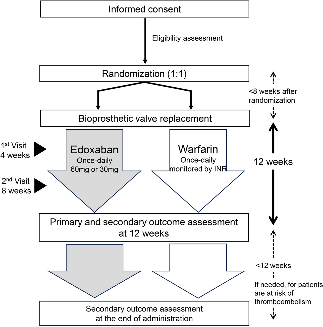 Efficacy and Safety of Edoxaban in Anticoagulant Therapy Early After Surgical Bioprosthetic Valve Replacement: Rationale and Design of the ENBALV Trial