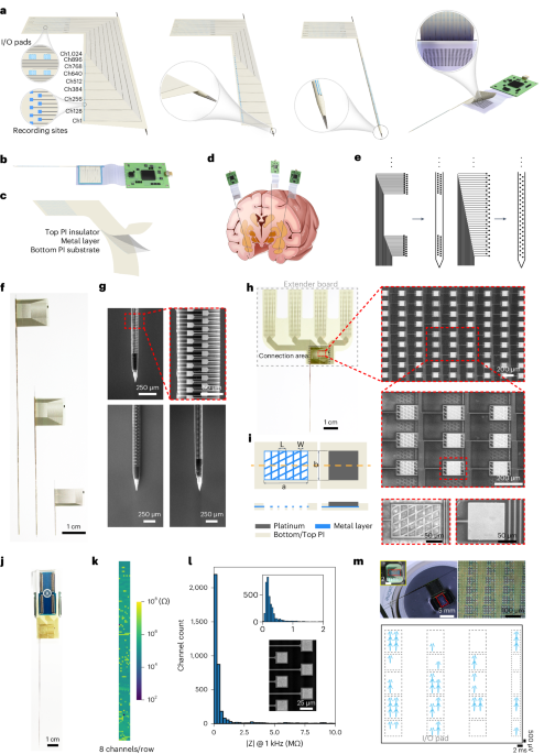 A high-density 1,024-channel probe for brain-wide recordings in non-human primates